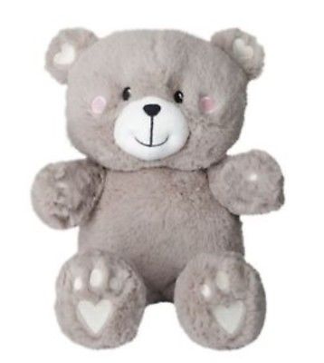 Ava and Friends Voice Recording Teddy Bear