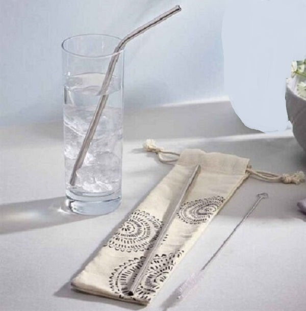 Reusable Metal Straw with Pouch